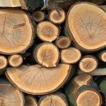 انواع چوب و محصولات آن | کاسپین وود